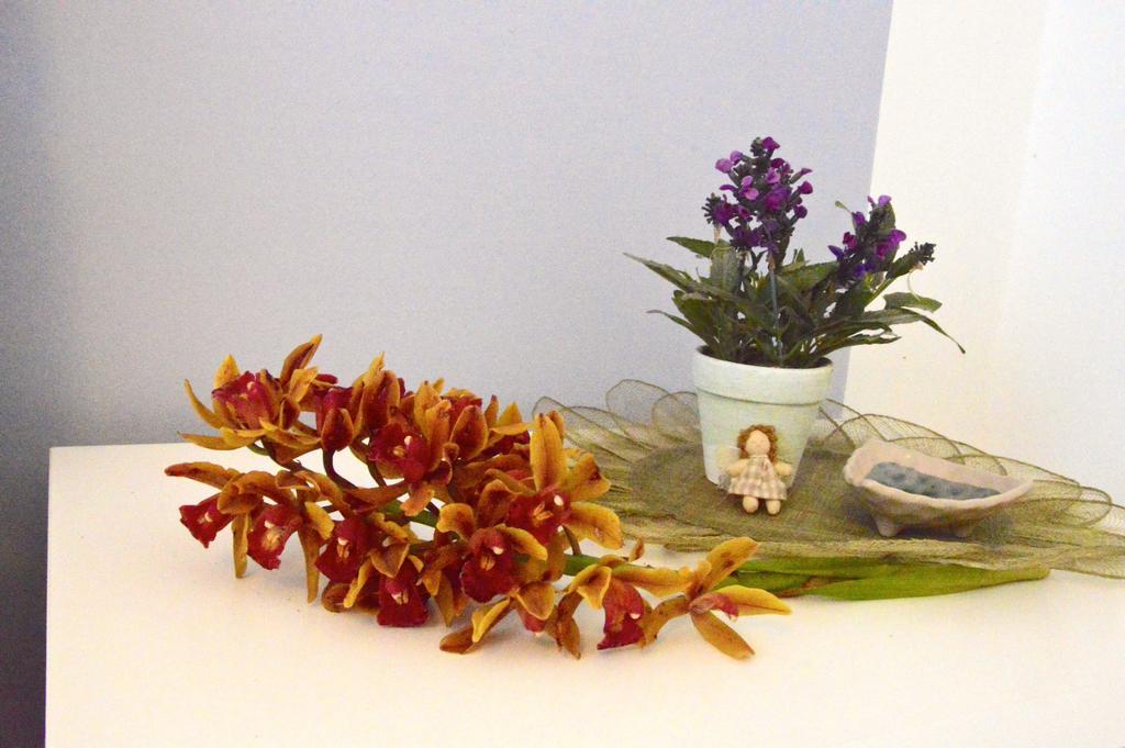 Orchidea Apartments Mascali Eksteriør billede